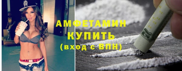 мдпв Михайлов