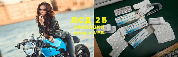 мдпв Михайлов