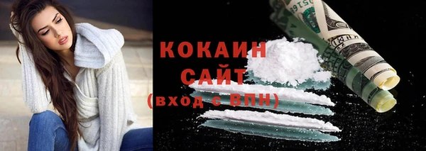 мдпв Михайлов