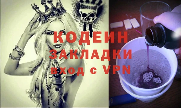 шишки Горняк