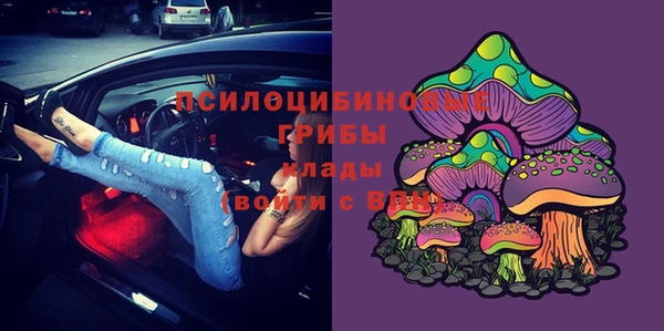 мдпв Михайлов
