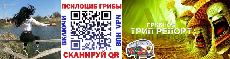 где можно купить   это состав  Псилоцибиновые грибы Psilocybine cubensis  Среднеуральск 